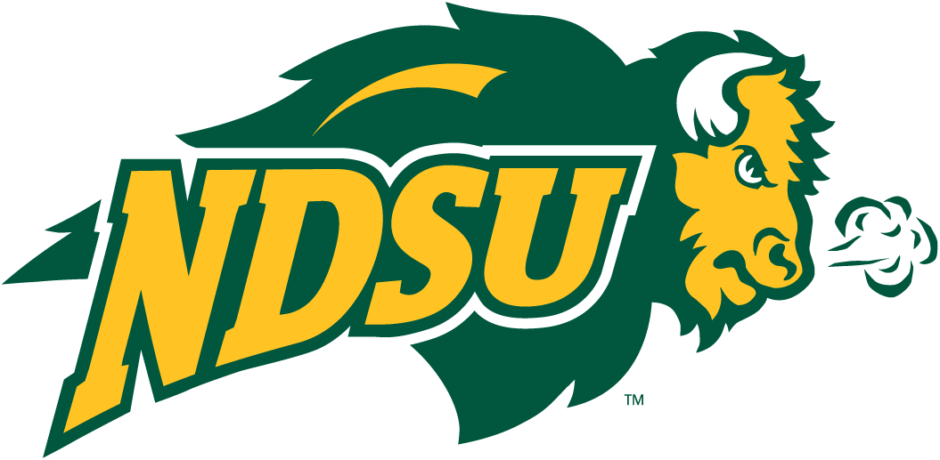 North Dakota State Bison 2005-2011 Secondary Logo 03 iron on paper